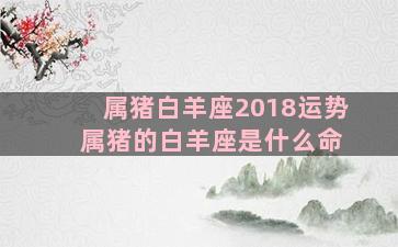 属猪白羊座2018运势 属猪的白羊座是什么命